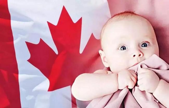 详解2019加拿大福利调整：TFSA 牛奶金上调- 新闻中心- 温哥华港湾