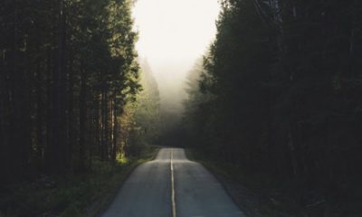 加拿大留学移民