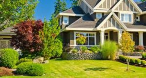 花坛(Planter and Garden)